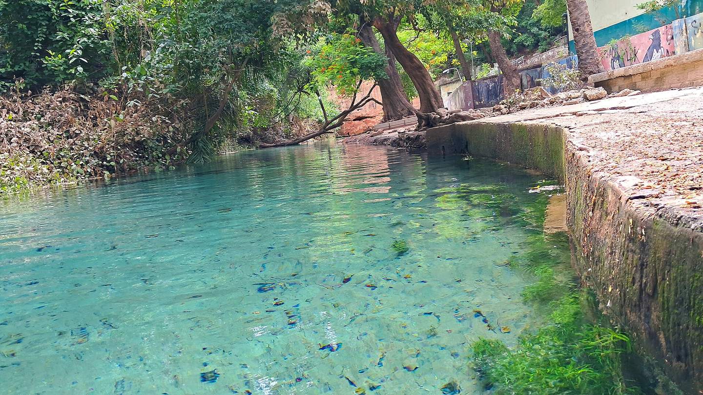 Wikki Warm Spring, Yankari, Bauchi